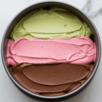 The three distinct layers of ice cream assembled in the pan for the Neapolitan Ice Cream Cake.