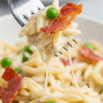 A forkful of the finished, creamy Orzo with Prosciutto and Peas.
