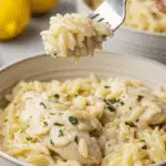 A cozy bowl of homemade, creamy Instant Pot Lemon Chicken and Orzo being served for an easy family dinner.